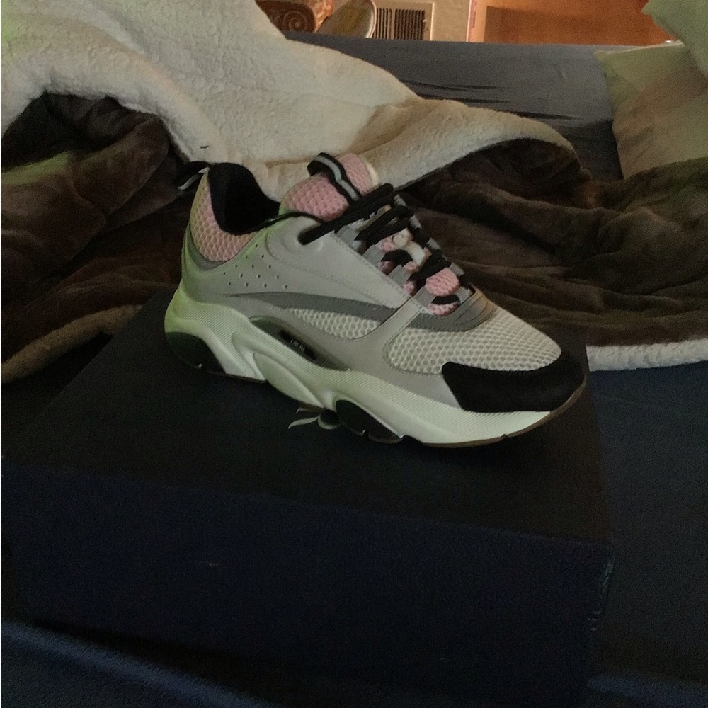 Dior B22